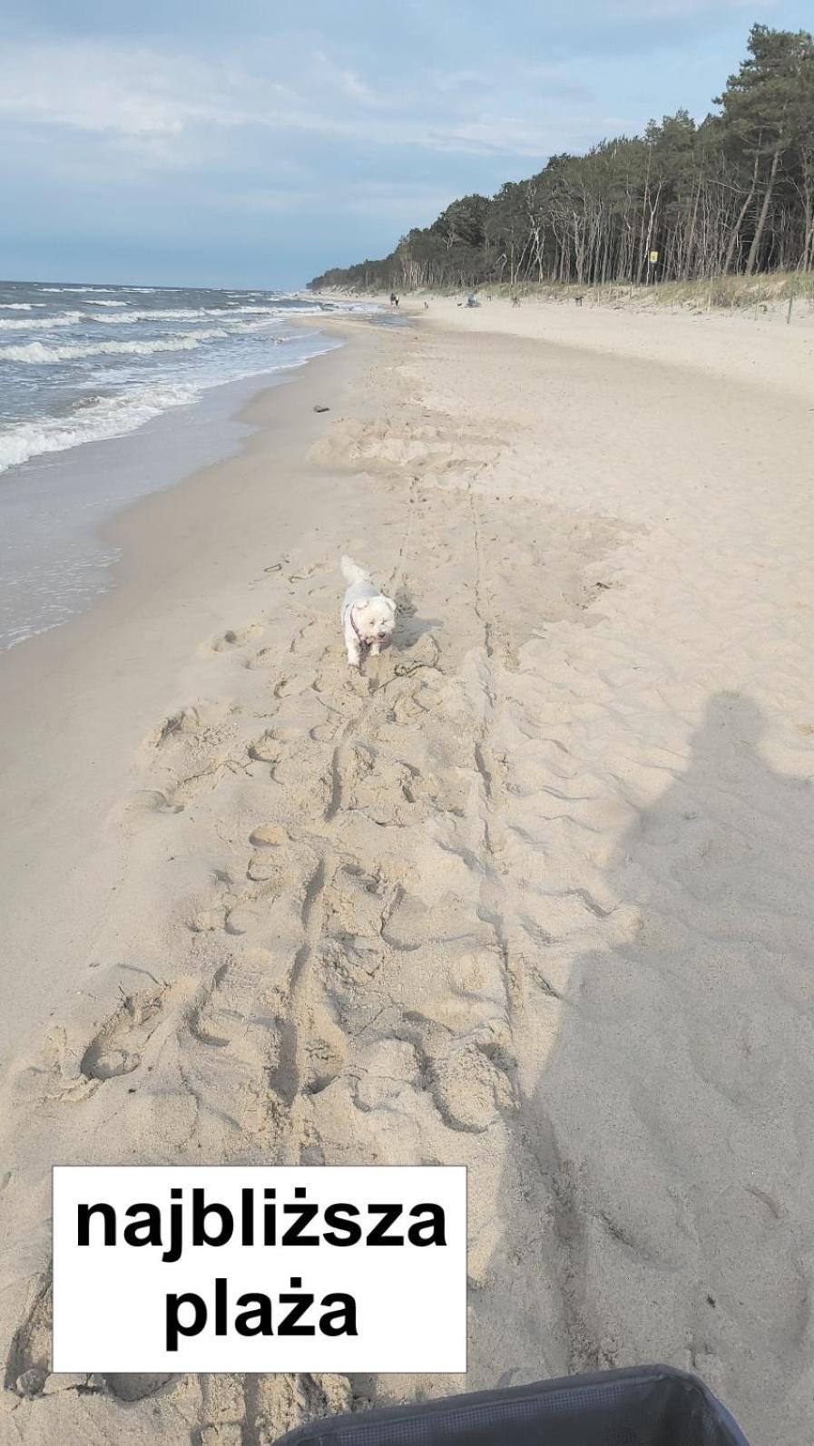 Willa Wieniotowo Apartamenty Przy Lesie I Plazy Ap Am Wald Und Strand Ustronie Morskie Bagian luar foto